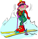 Skifahrer